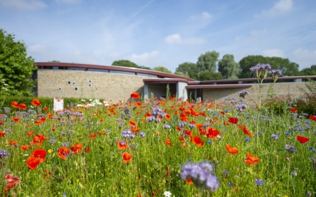 Crematorium Iepenhof