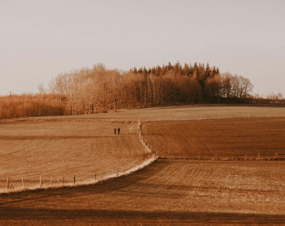 Landschap